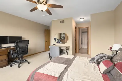 8703 Cashel Lane Tinley Park IL 60487