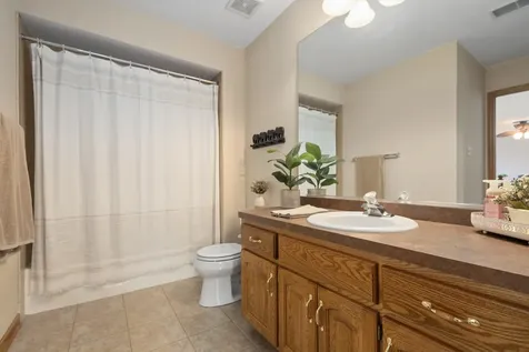 8703 Cashel Lane Tinley Park IL 60487