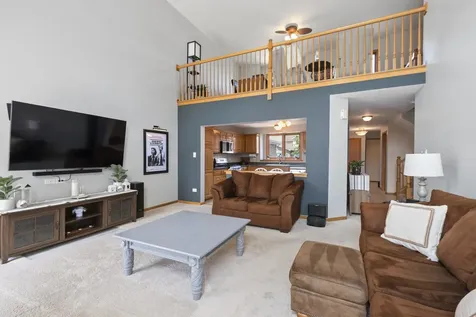 8703 Cashel Lane Tinley Park IL 60487