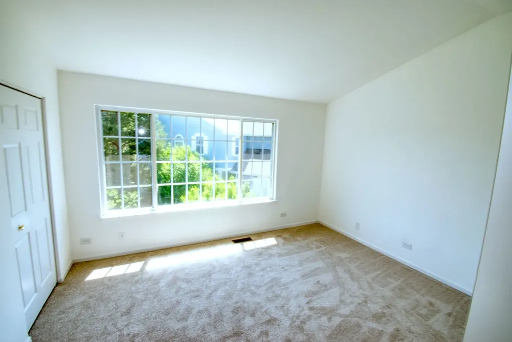 5564 Elizabeth Place Rolling Meadows IL 60008