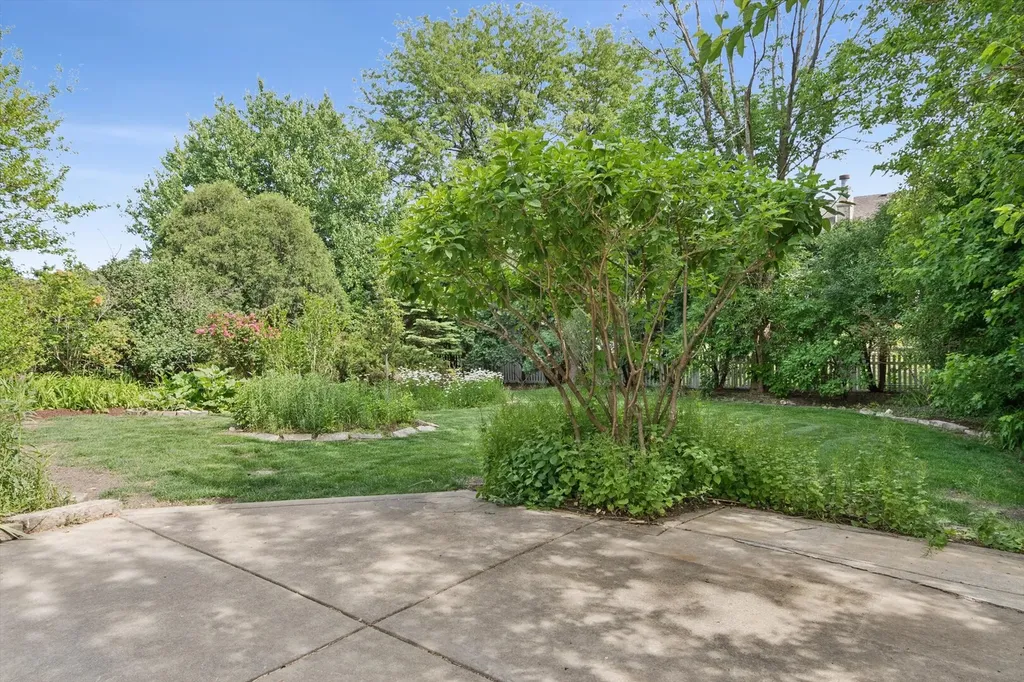 1246 Ardmore Drive Naperville IL 60540