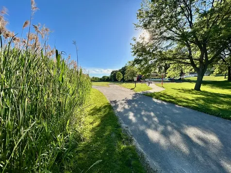 12108 Derby Lane Orland Park IL 60467