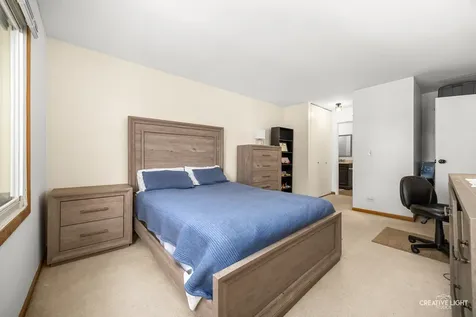 2928 Roberts Drive Woodridge IL 60517