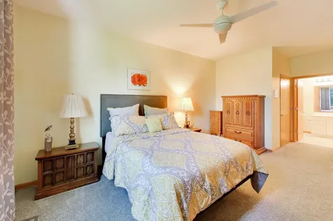 21119 West Braxton Lane Plainfield IL 60544