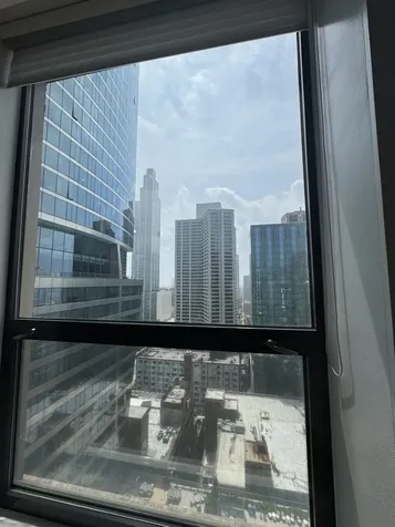 910 South Michigan Avenue Chicago IL 60605