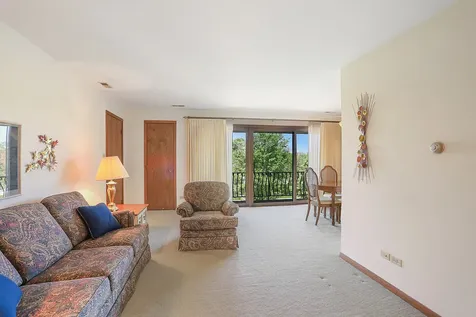 15229 Catalina Drive Orland Park IL 60462