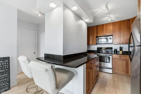 450 West Briar Place Chicago IL 60657