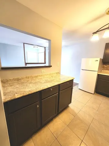 1085 Knoll Lane Hoffman Estates IL 60194