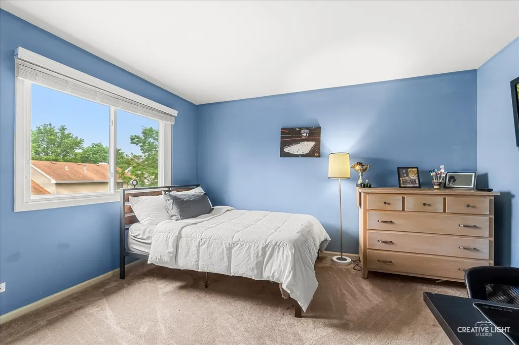 1594 Lois Ann Lane Naperville IL 60563