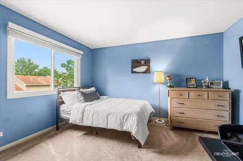 1594 Lois Ann Lane Naperville IL 60563