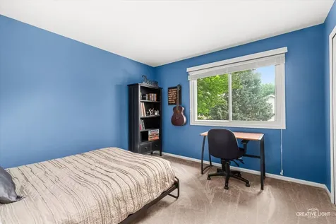 1594 Lois Ann Lane Naperville IL 60563