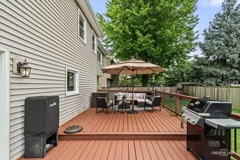 1594 Lois Ann Lane Naperville IL 60563