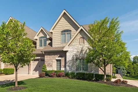 9868 Folkers Drive Frankfort IL 60423