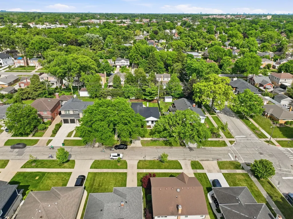 507 North Hamlin Avenue Park Ridge IL 60068