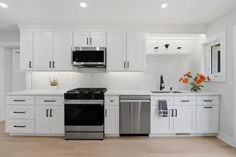 507 North Hamlin Avenue Park Ridge IL 60068