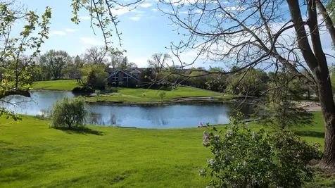 20450 North Meadow Lane Deer Park IL 60010
