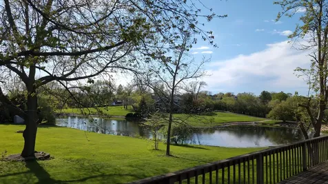 20450 North Meadow Lane Deer Park IL 60010