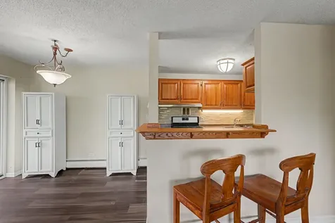 1227 South Old Wilke Road Arlington Heights IL 60005