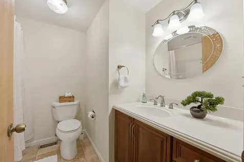 516 Janine Lane Schaumburg IL 60193