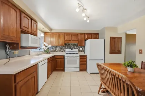 516 Janine Lane Schaumburg IL 60193