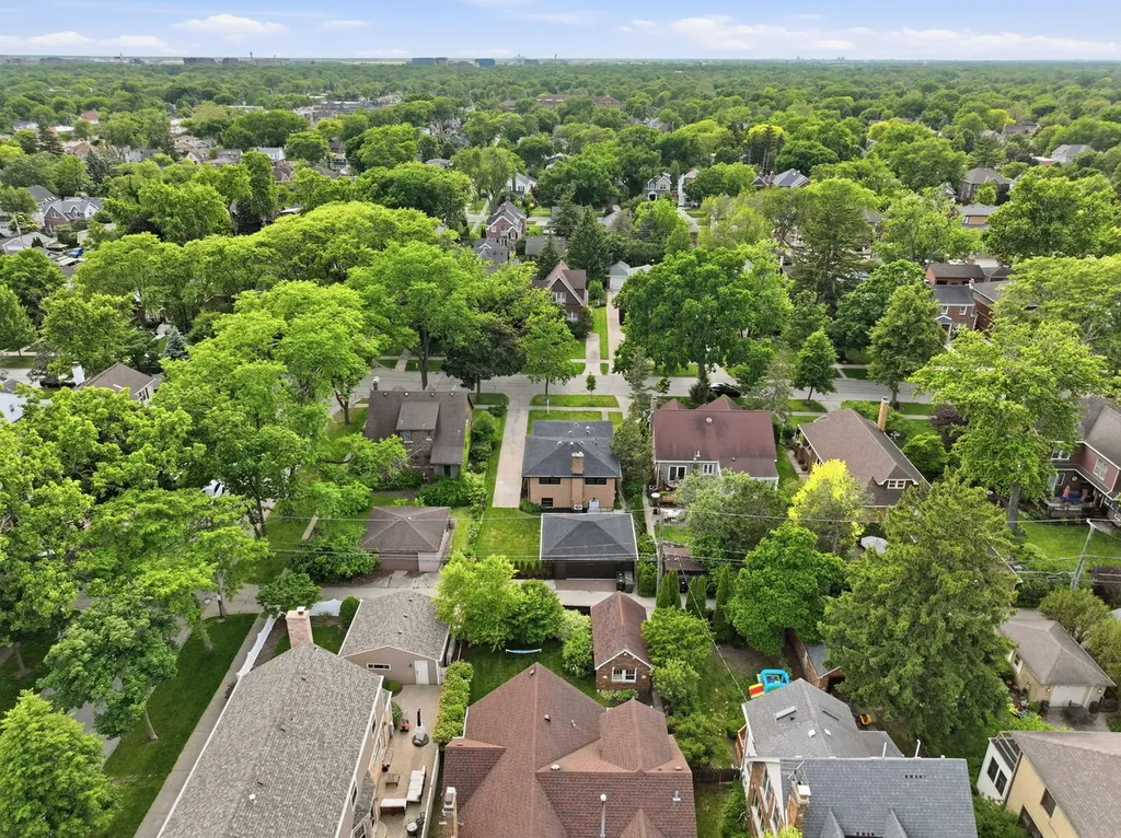 1009 South Washington Avenue Park Ridge IL 60068