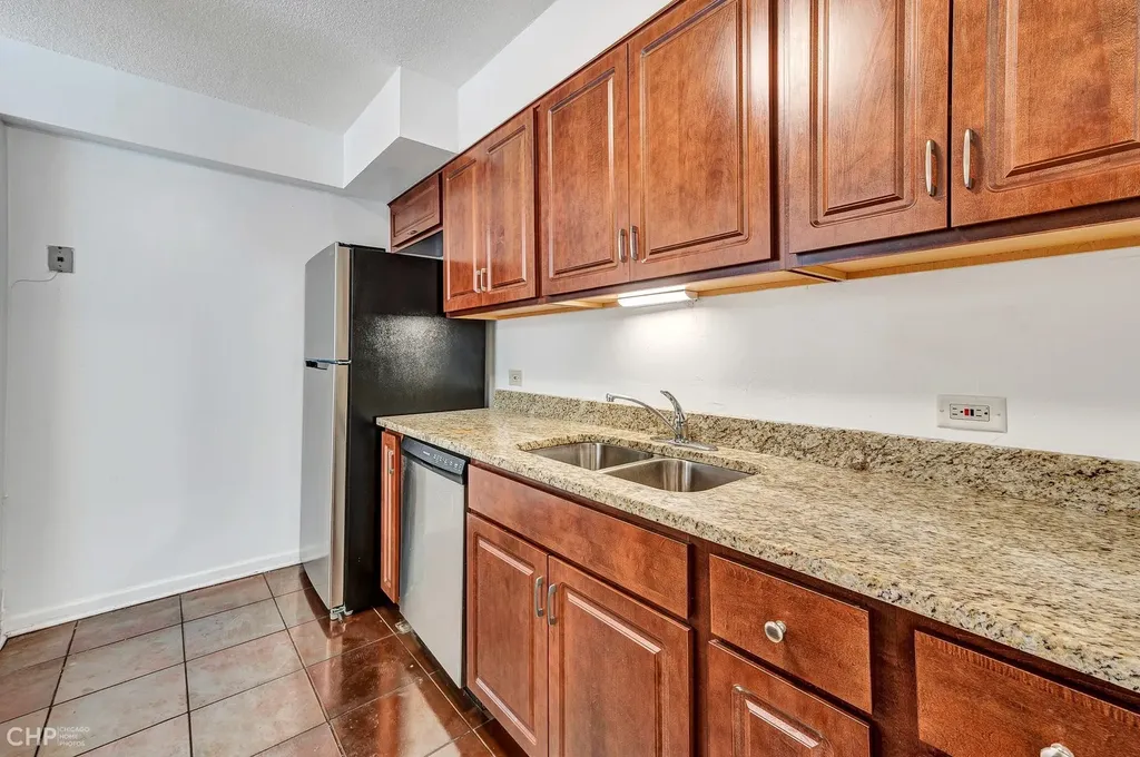 1115 South Plymouth Court Chicago IL 60605