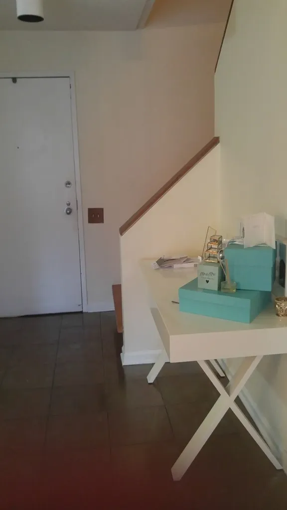 1115 South Plymouth Court Chicago IL 60605