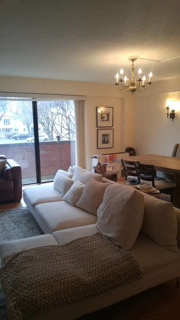 1115 South Plymouth Court Chicago IL 60605