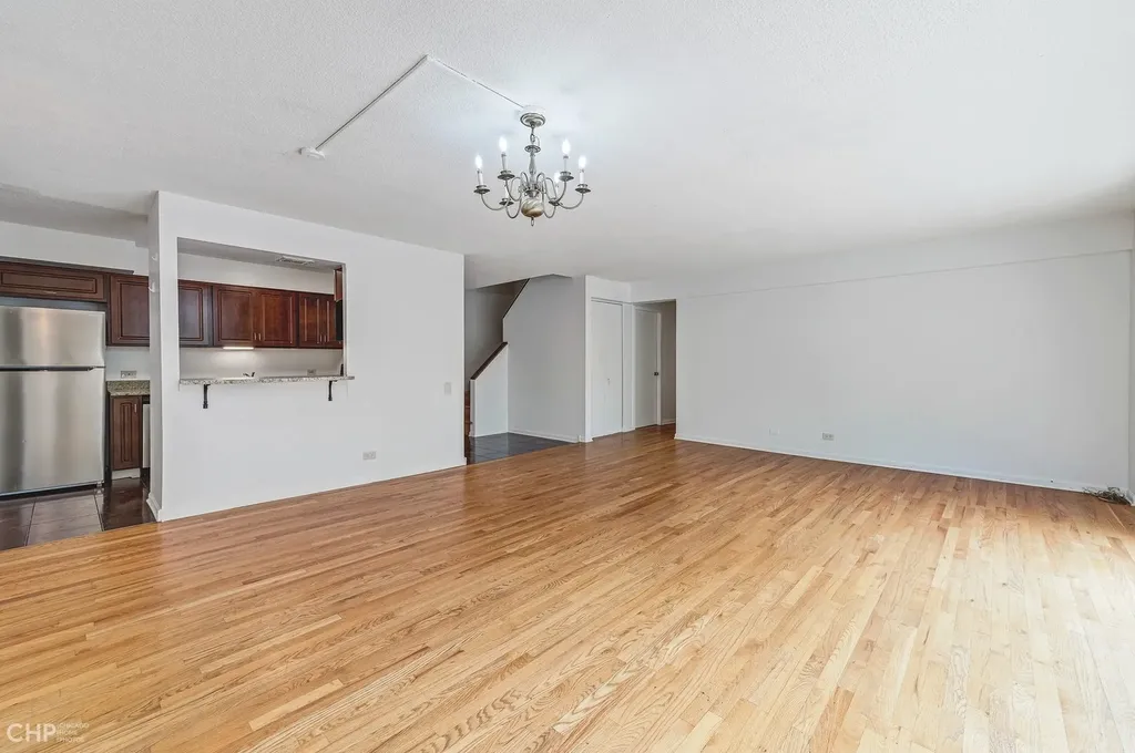 1115 South Plymouth Court Chicago IL 60605