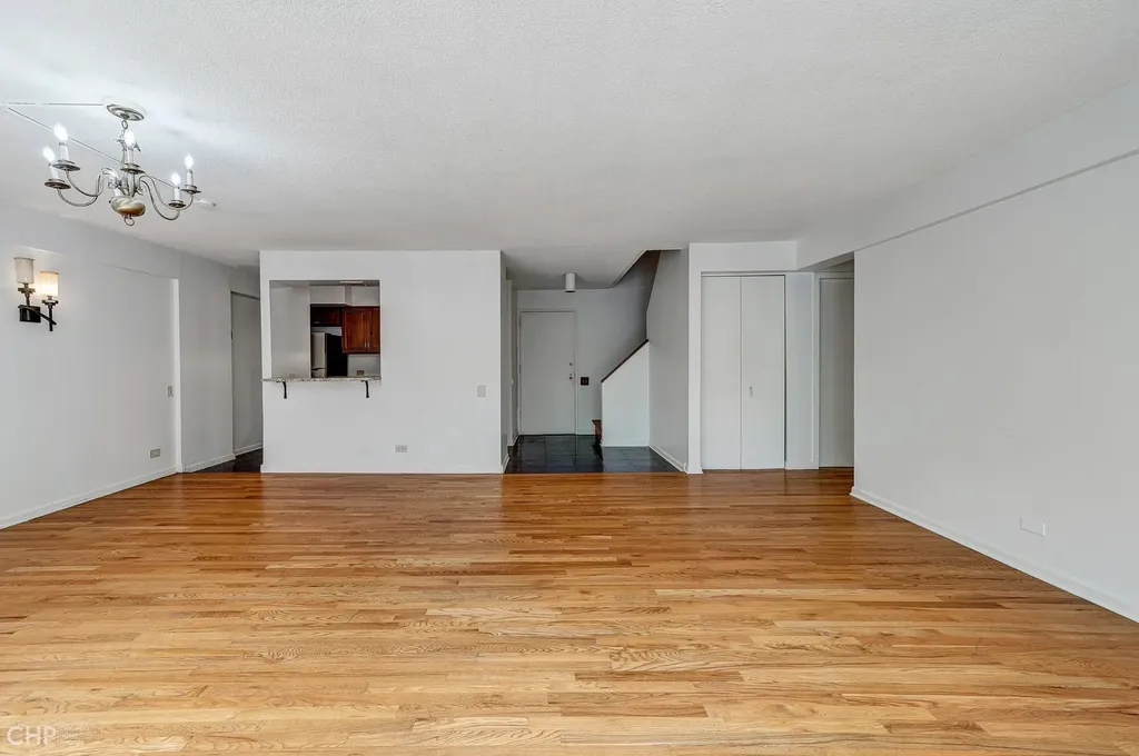 1115 South Plymouth Court Chicago IL 60605