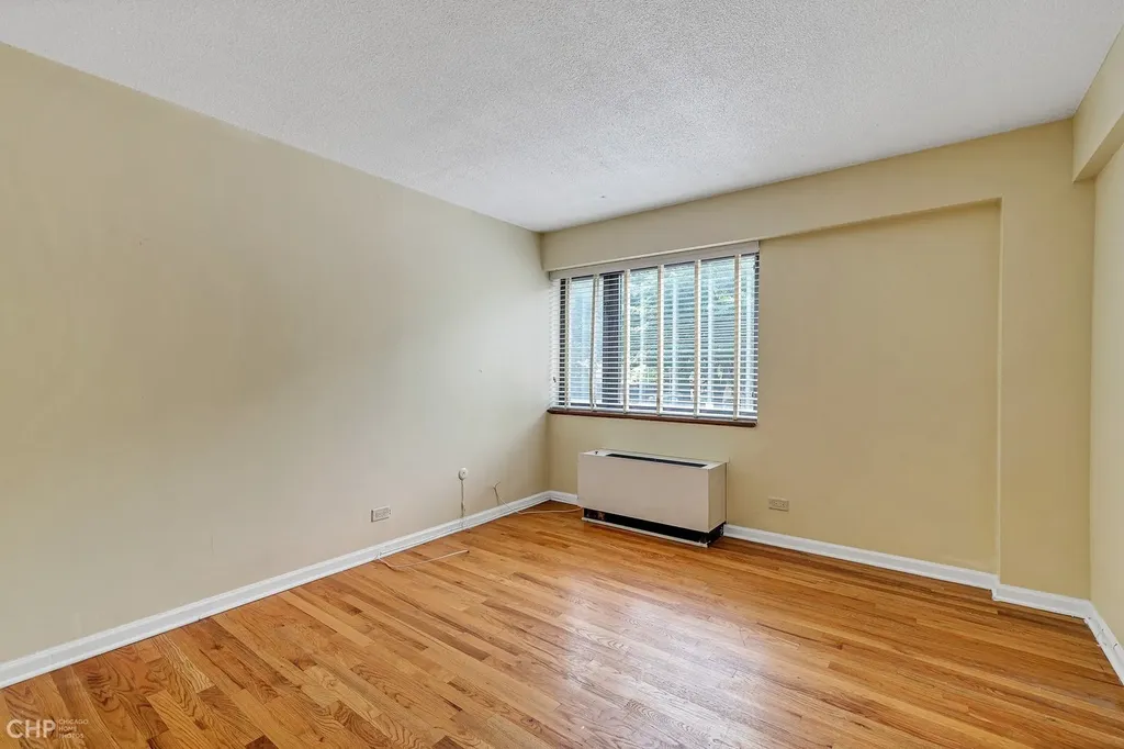 1115 South Plymouth Court Chicago IL 60605