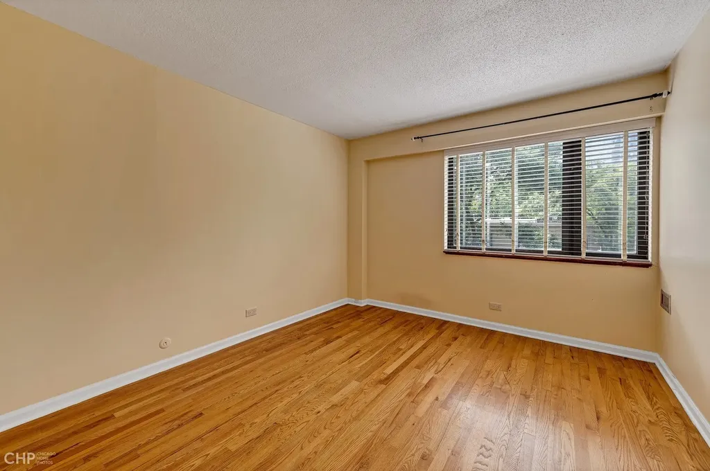 1115 South Plymouth Court Chicago IL 60605