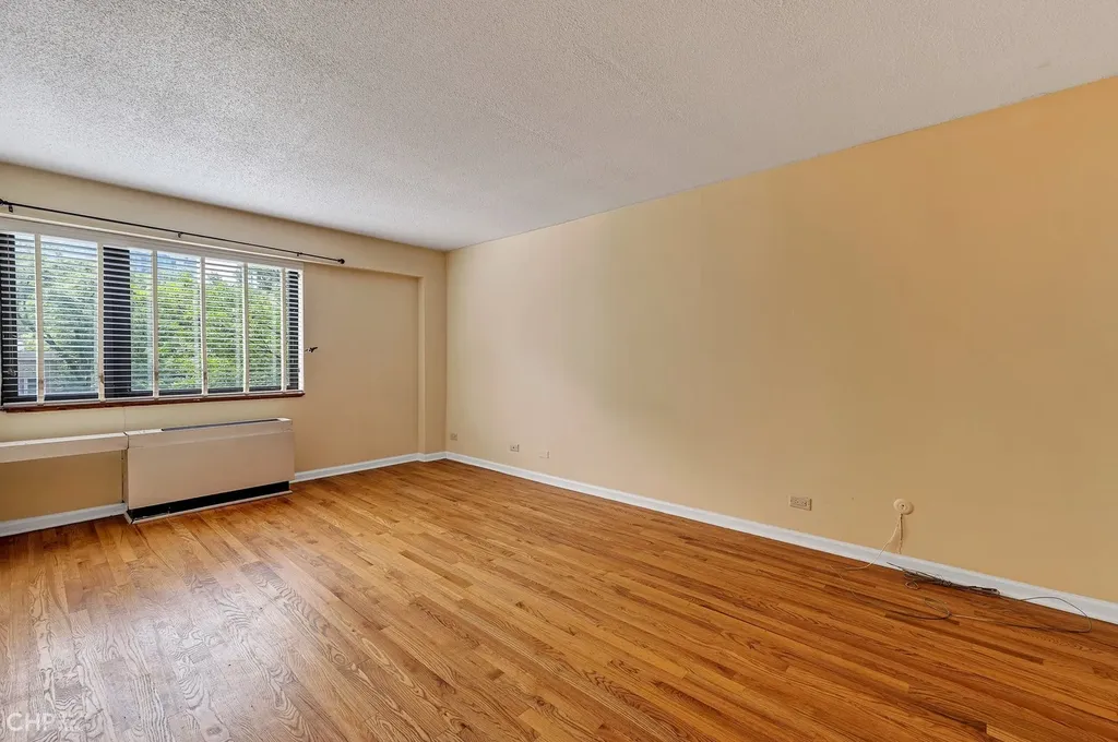 1115 South Plymouth Court Chicago IL 60605