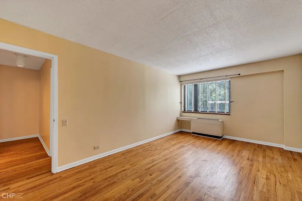 1115 South Plymouth Court Chicago IL 60605