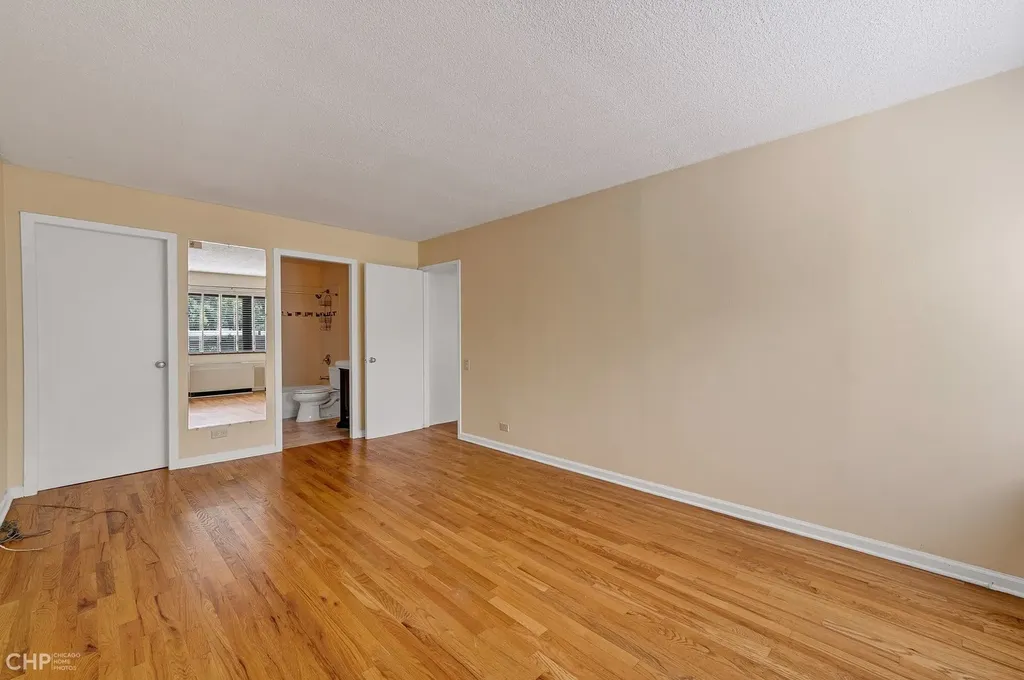 1115 South Plymouth Court Chicago IL 60605