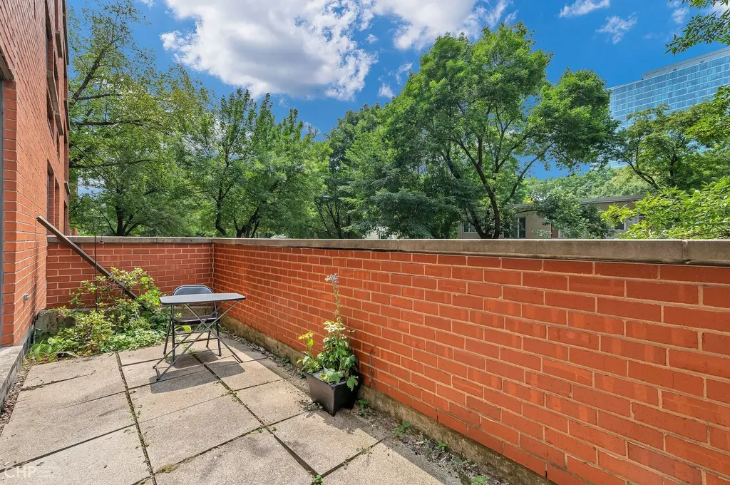 1115 South Plymouth Court Chicago IL 60605