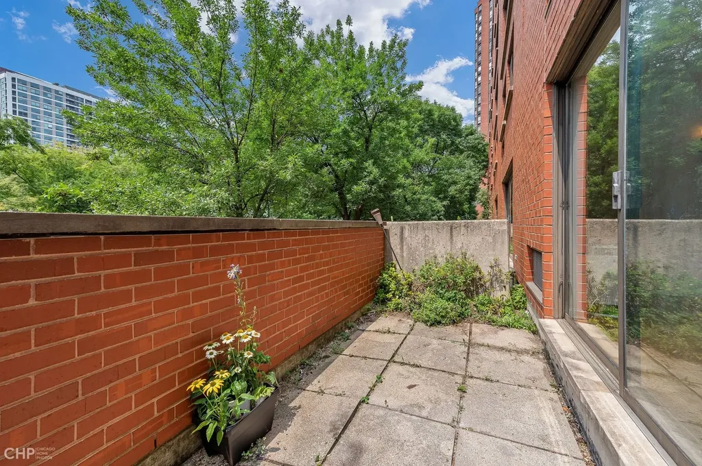 1115 South Plymouth Court Chicago IL 60605
