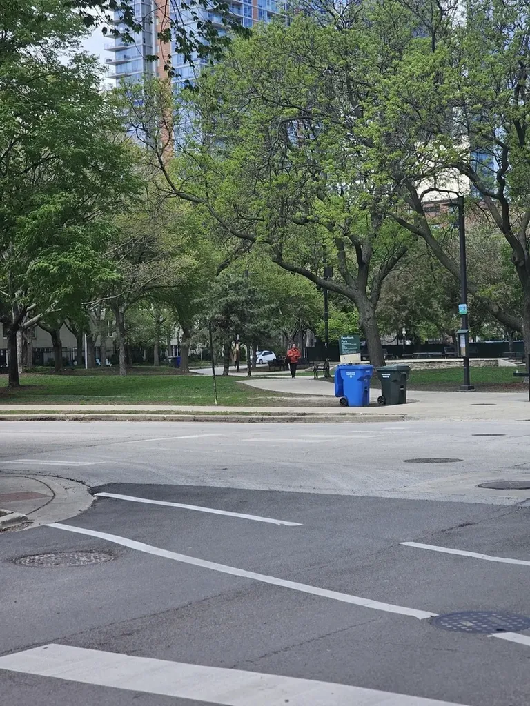 1115 South Plymouth Court Chicago IL 60605