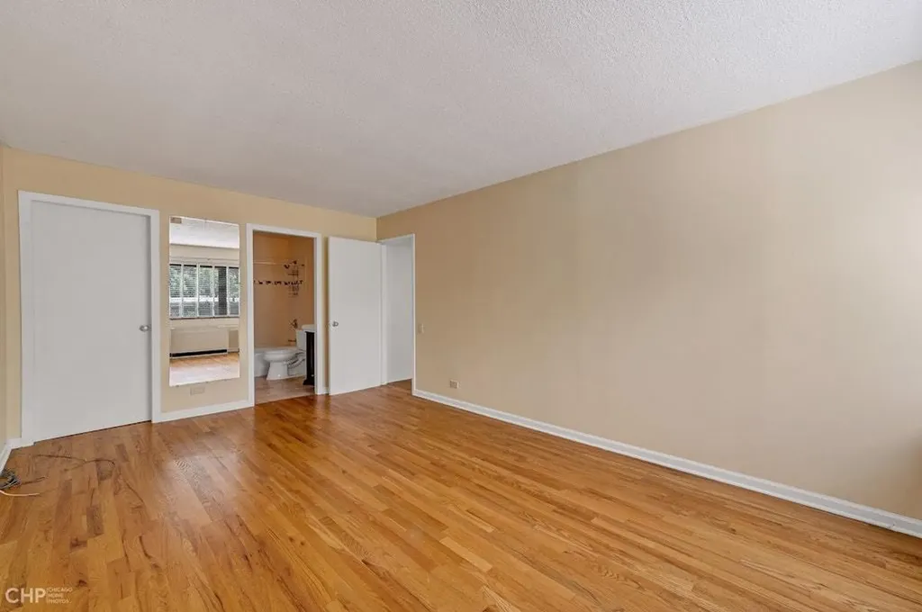 1115 South Plymouth Court Chicago IL 60605