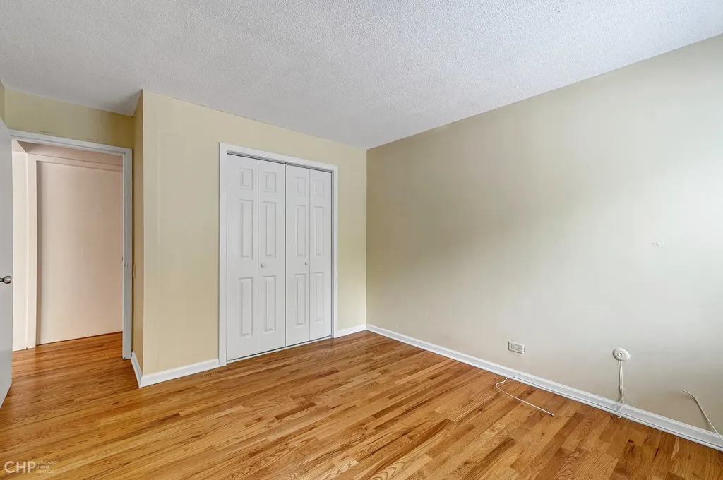 1115 South Plymouth Court Chicago IL 60605