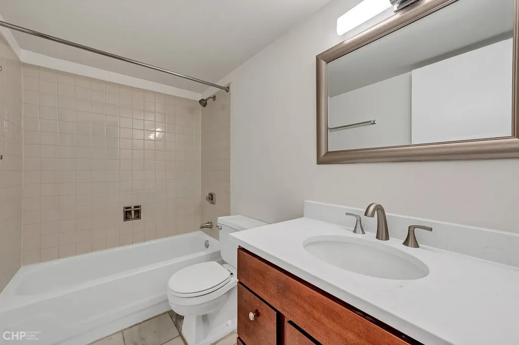 1115 South Plymouth Court Chicago IL 60605