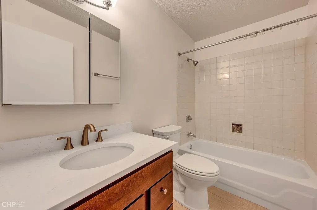 1115 South Plymouth Court Chicago IL 60605