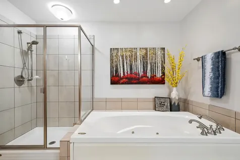 606 Arlington Lane South Elgin IL 60177