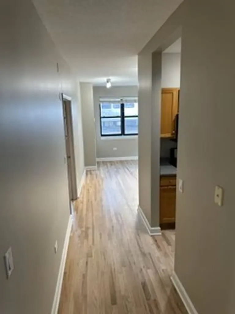 1529 South State Street Chicago IL 60605
