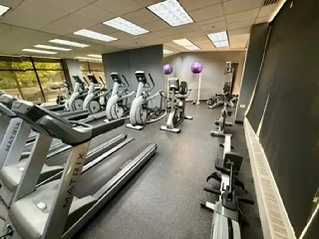1529 South State Street Chicago IL 60605