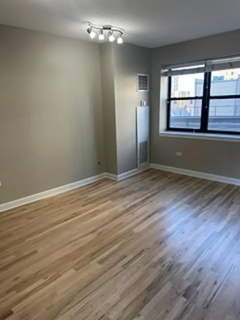 1529 South State Street Chicago IL 60605
