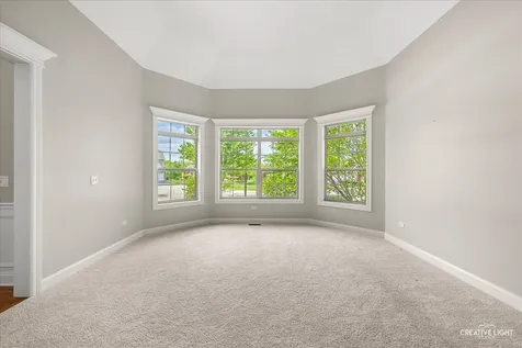 3712 Ryder Court Naperville IL 60564