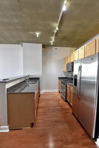 1305 South Michigan Avenue Chicago IL 60605