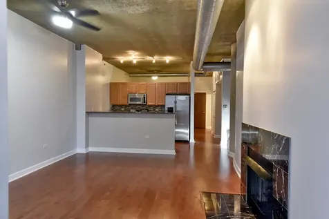 1305 South Michigan Avenue Chicago IL 60605