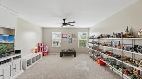 955 Valley Stream Drive Pingree Grove IL 60140